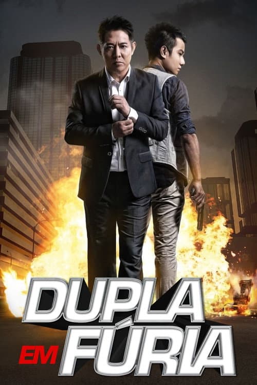 Póster de Dupla em Fúria
