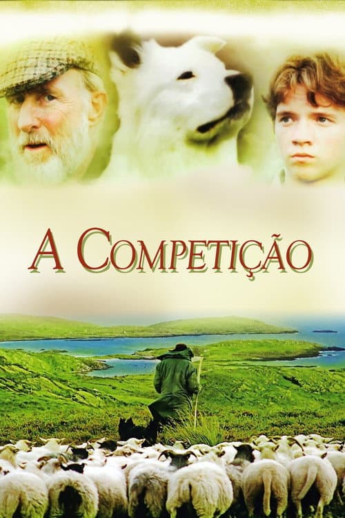Póster de A Competição