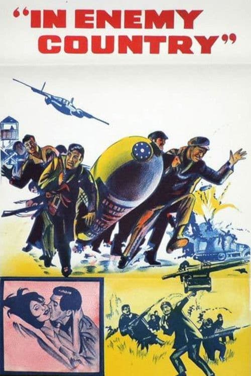 Póster de In Enemy Country